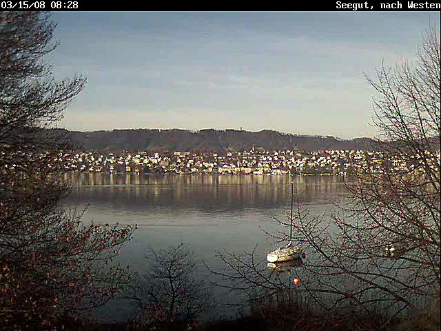 STILL IMAGE LIVE VIDEO WEBCAM SEEGUT